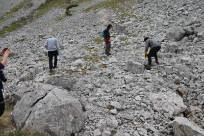 The team looking for snakes